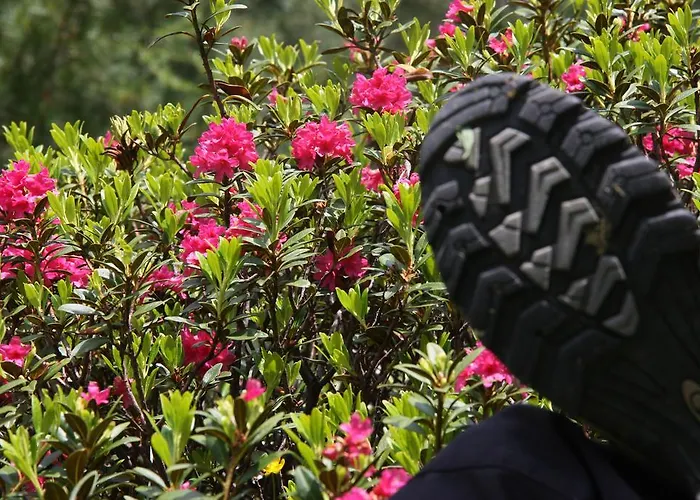 Armin Διαμέρισμα *