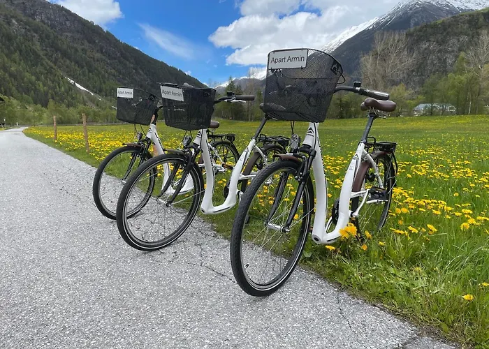 Armin アパート レンゲンフェルト