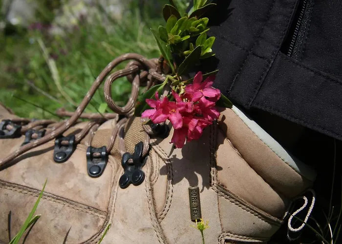 Armin レンゲンフェルト